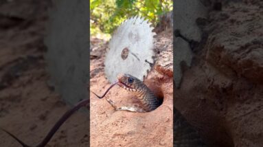 Ela não devia entrar aí! You can't enter! 🚫🙅🏻‍♀️❤️😂👧🏻💥🚀🌈✅