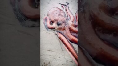 Como ela consegue entrar?! You can't enter! 🚫🙅🏻‍♀️❤️😂👧🏻💥🚀🌈✅