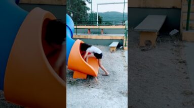 Ela entrou onde não devia!! You can't enter! 🚫🙅🏻‍♀️❤️😂👧🏻💥🚀🌈✅