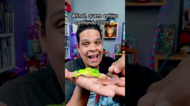 Só vale resposta certa?! Quem tava cantando pro neném?!😳👶🏻