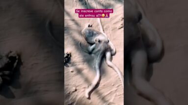 Como ela consegue entrar?! You can't enter! 🚫🙅🏻‍♀️❤️😂👧🏻💥🚀🌈✅