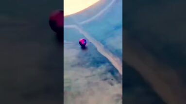 Wow! 🤣🤣🤣🥰🥰🥰