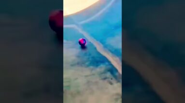 🤣🤪⚽️🎱🥎🏐🥰😜