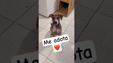 Deixa o like pra mim? 🥺