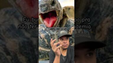 Pura estratégia!🤣🤣🤣🐢