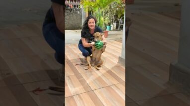 WOW 🐶😂⚽️🥰😝❤️