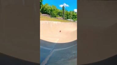 WOW! 🐶⚽️🎱🥎🏐🥰😜