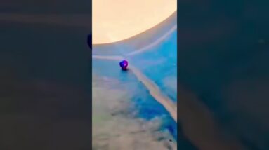 UAU WOW Crazy! 🤣🤪⚽️🎱🥎🏐🥰😜