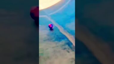 WOW! 🤣🤪⚽️🎱🥎🏐🥰😜