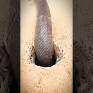 Como ela consegue entrar?! You can't enter! 🚫🙅🏻‍♀️❤️😂👧🏻💥🚀🌈✅