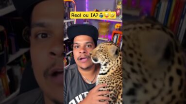 Ficou bom? 🐆😻🐅🐯🥰🥰🥰