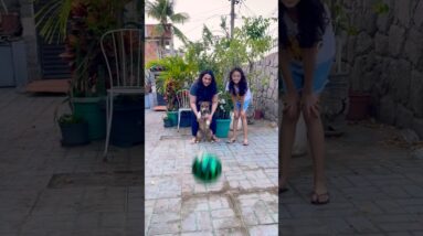 AU AU AU! 🐶🤣🤪⚽️🎱🥎🥰