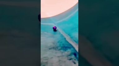 WOW! 🤣🤪⚽️🎱🥎🏐🥰😜