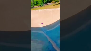 UAU WOW Crazy! 🤣🤪⚽️🎱🥎🏐🥰😜