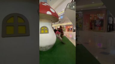 11 de novembro de 2025