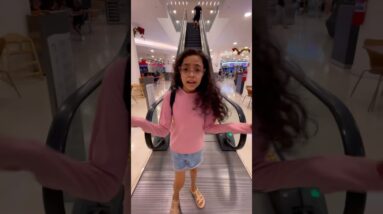 17 de novembro de 2025