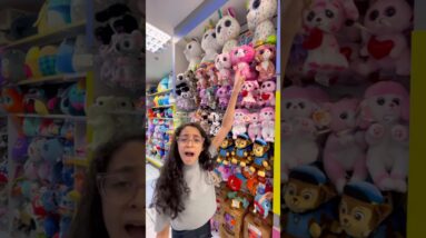 20 de novembro de 2025