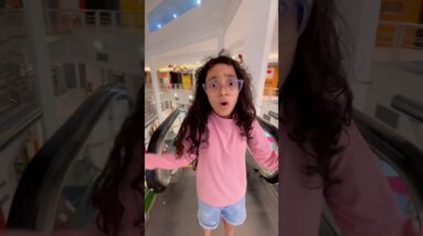 23 de novembro de 2025