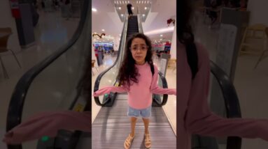 25 de novembro de 2025