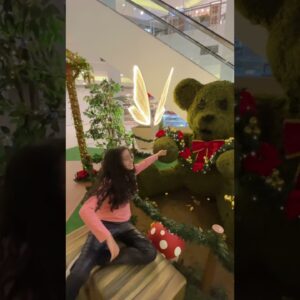 26 de novembro de 2025