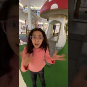 27 de novembro de 2025