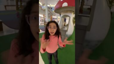 27 de novembro de 2025