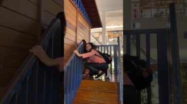 27 de novembro de 2025