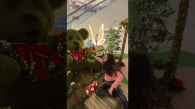 28 de novembro de 2025