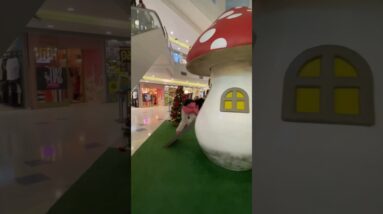 Não pode entrar no cogumelo! 🚫🙅🏻‍♀️❤️😂👧🏻💥🚀🌈✅