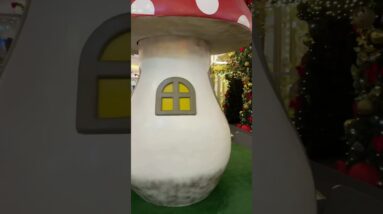 1 de dezembro de 2025