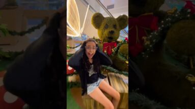 10 de dezembro de 2025