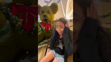 20 de dezembro de 2025