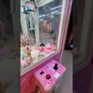 28 de dezembro de 2025