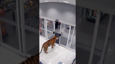 29 de dezembro de 2025