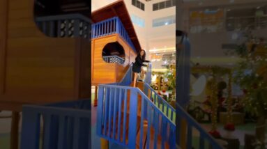 4 de dezembro de 2025