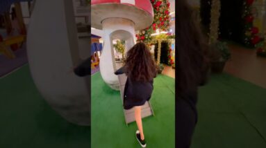 5 de dezembro de 2025