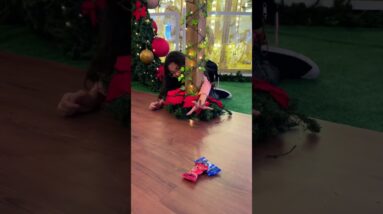 7 de dezembro de 2025