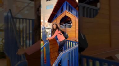 8 de dezembro de 2025