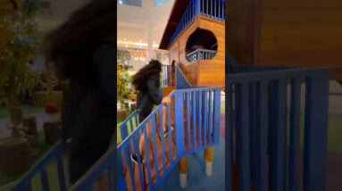 9 de dezembro de 2025