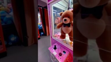 Urso de pelúcia ❤️