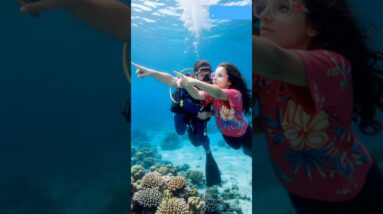 🦈😱🚀❤️😩✅🎉