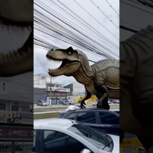 🦖😩🚀🤦🏻‍♀️😱✅