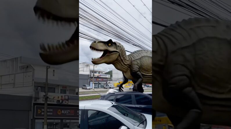 🦖😩🚀🤦🏻‍♀️😱✅