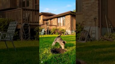 11 de fevereiro de 2026