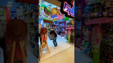 12 de fevereiro de 2026