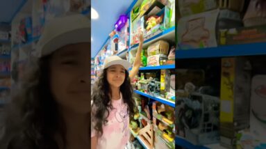 12 de fevereiro de 2026