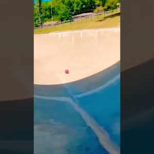 13 de fevereiro de 2026