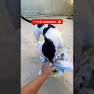 16 de fevereiro de 2026