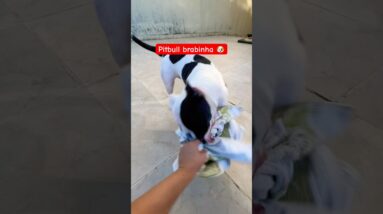 16 de fevereiro de 2026