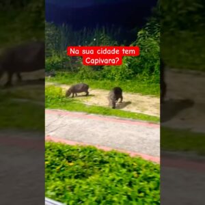 16 de fevereiro de 2026